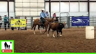 Gatlin Duncan Final - 2020 Coolhorse Colt Starting Challenge