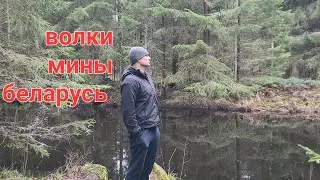 Опасности для ухилянта...