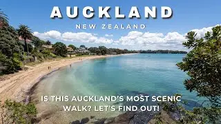 Is This Auckland&rsquo;s Most Scenic Walk? Let&rsquo;s Find Out!