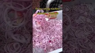 This Onion Cutter Slices 2000 KG per Hour 😲 #trending #fypシ #veggiecutter #onioncutter