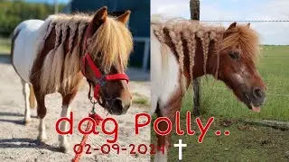 de AFSCHEID video van POLLY...
