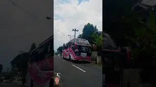 #busmainan