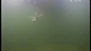 INFOMAR Seabed Sampling