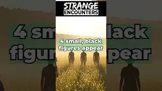 The Black Figures of Cussac - Alien Encounter  #alien #scary #cryptids