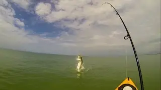 Big Game Kayak Fishing