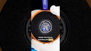 BLUEY CHRISTMAS COINS HAVE ARRIVED #bluey #blueychristmas #blueycoin