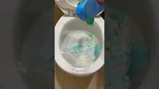 Viral toilet cleaning hack 
