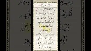Surah kahf recitation 20-22 #ehdena #المصحف #viral #trending #quran #islam #motivation