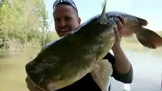 Live MISSISSIPPI RIVER CATFISHING