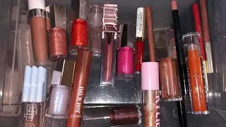PROJECT PAN: LIP EDITION UPDATE | NOVEMBER 2020