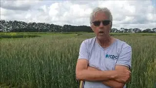 Intro to ICDC Research and Demonstration Videos