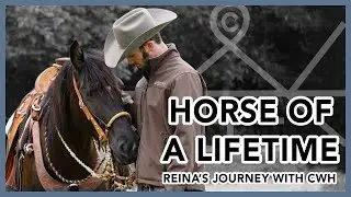 From totally wild to bareback & bridle-less | LAST DAY WITH REINA | Horse Vlog