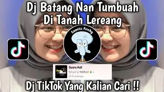 DJ MINANG BATANG NAN TUMBUAH DI TANAH LEREANG - DJ PANEK DI AWAK KAYO DI URANG VIRAL TIKTOK 2024 !!