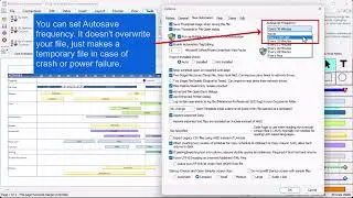 Program Options (Tools Tab) - Milestones Professional