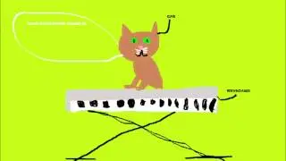 The Story Of KeyBoardCat