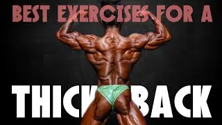 TOP 3 BEST Exercises For A Thicker Back | How I Grew A Pro Calibre Posterior 