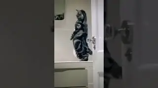 So Cute, Cat Standing Up On Two Legs #Shorts