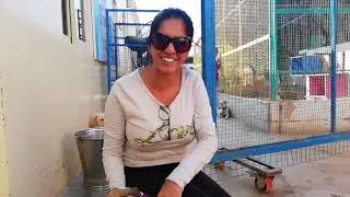 Visitors share thoughts on ACF Animal Rescue's work