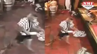 Amazing monkey as waiter.......