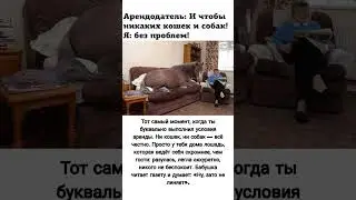 Когда правила соблюдены&hellip; но с фантазией#юмор#прикол#comedy#мем#рекомендации#ржака#shorts#trending