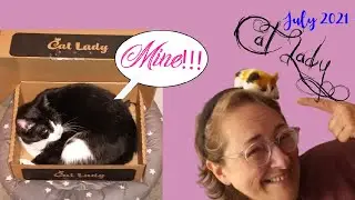 My Cats FIGHTING over My CAT LADY Box ~ July 2021 ~ an Unboxing & Review