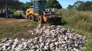 Sistema RAS X TANQUE Rede ou Escavado. Vídeo 395