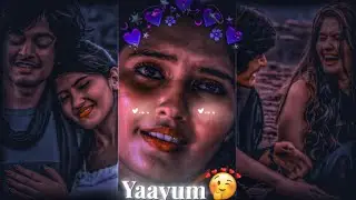 ✨𝚈𝚊𝚊𝚢𝚞𝚖❤️&zwj;🩹𝚆𝚑𝚊𝚝𝚜𝚊𝚙𝚙 𝚂𝚝𝚊𝚝𝚞𝚜🖤𝚃𝚛𝚎𝚗𝚍𝚒𝚗𝚐 𝙻𝚘𝚏𝚒-𝚂𝚘𝚗𝚐💌𝚂𝚘𝚗𝚐 4𝚔⚡𝑺𝑡𝑎𝑡𝑢𝑠💜𝙴𝚏𝚡 𝚂𝚝𝚊𝚝𝚞𝚜👀#feelbgm2.o#trending