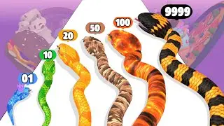 Snake Run Race - Level Up Snake Max Level Satisfying Gameplay (Snake Evolution Run 3D)