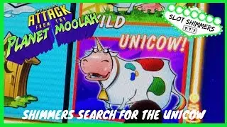 NEW PLANET MOOLAH SLOT 💫 SLOT SHIMMERS SEARCH FOR THE UNICOW 🦄  BONUS FILLED SLOT SESSION