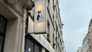 フランス🇫🇷パリの猫カフェに潜入！Lecafé des chats