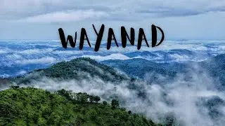 Wayanad Trip Vlog | New Year Travel | Episode 1 | First Day Journey