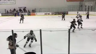 1/12/2019 NJPHL Fort Wayne Showcase