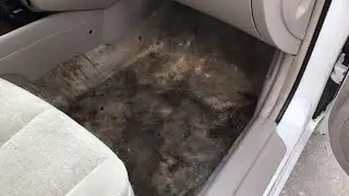 How to DEEP CLEAN nasty car carpet