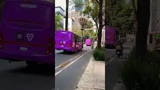 The best way to beat Mexico City traffic | The Metrobus CDMX fleet always hard at work