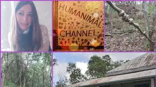 LIVE: Asa Ellerup, is she afraid of the Big Bad Wolf? #GBSK #LISK WHAT DID #DRHACKETT DO?