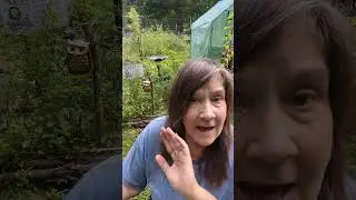 The Disabled Gardener #growyourownfood #livingwithchronicillness #disabled