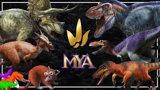 A New Type Of Trading Card Game Has Evolved!&ndash; MYA&rsquo;s Dinosaur Cards Combine Science and Gaming