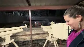 Яблочная пушка