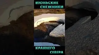 Июньские снежники в НАО