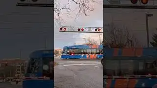 MAX 616 Single Car Type 6 Train At Hall Blvd