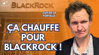 BlackRock va-t-il ENCORE demander à la Fed de les sauver ? - Guy de la Fortelle sonne le tocsin !