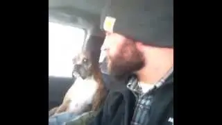 Boxer's Death Stare! (MUST SEE)
