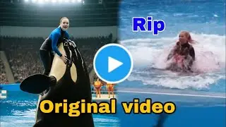 Jessica Radcliffe's Orca Attack Video Reveals 5 Shocking Facts About Ocean Safety