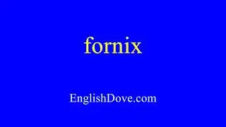 How to pronounce fornix in American English
