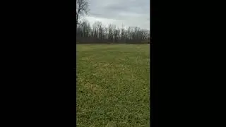 Hands Down, Most Annoying Shed Hunt 2018