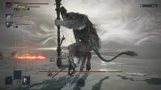 Run 10 (Everdark Libra Prepatch) - Elden Ring Nightreign