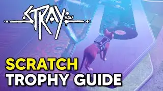 Stray - Scratch Trophy / Achievement Guide (Vinyl Location)
