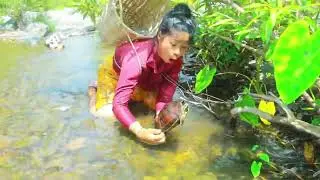 Survival With Dogs - found turtle and fish in the river - cooking fish with eggs for dogs HD