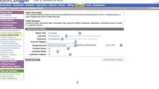 Customer Balance Detail Report