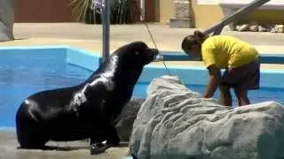 00030 - IDA AO JARDIM ZOOLÓGICO